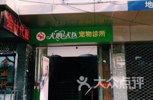 温州宠物店爆料事件最新,揭露行业黑幕，宠物权益亟待关注